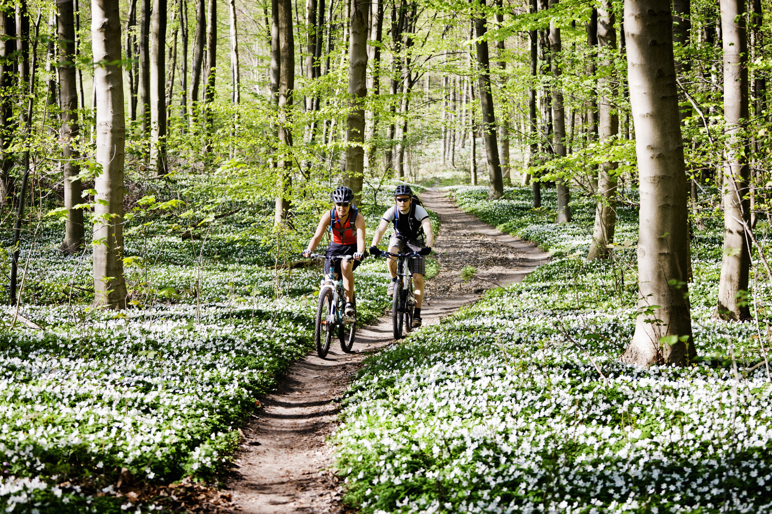 Mountainbiken op de Holterberg